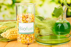 Trelew biofuel availability