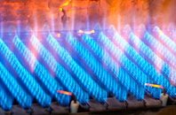 Trelew gas fired boilers