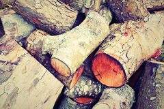 Trelew wood burning boiler costs